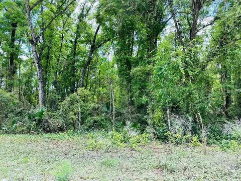 0 NE 400 Ave, Old Town, FL 32680