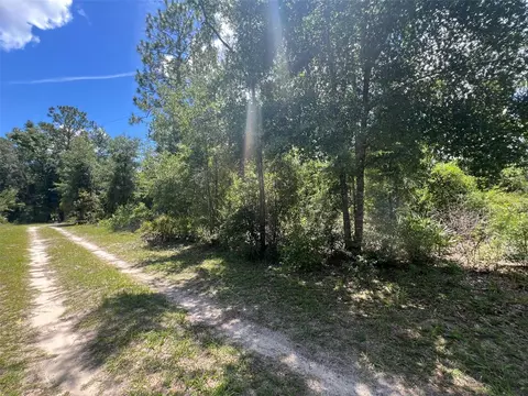 000 NE 822nd St, Old Town, FL 32680