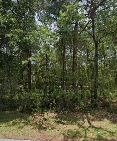 29 N Rooks Ave, Inverness, FL 34453