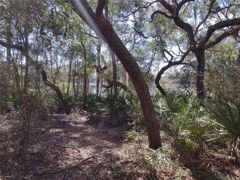 89 Tucker Lake Rd, Melrose, FL 32666