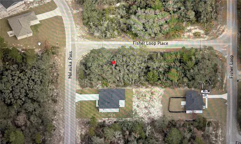 tbd Fisher Loop Pl, Ocklawaha, FL 32179