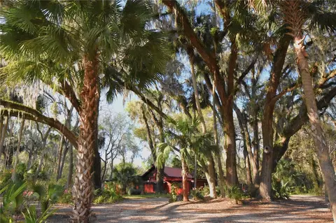 1302 SE Wacahoota Rd, Micanopy, FL 32667