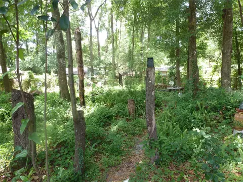 1031 SW 62nd Ter, Gainesville, FL 32607 photo 12