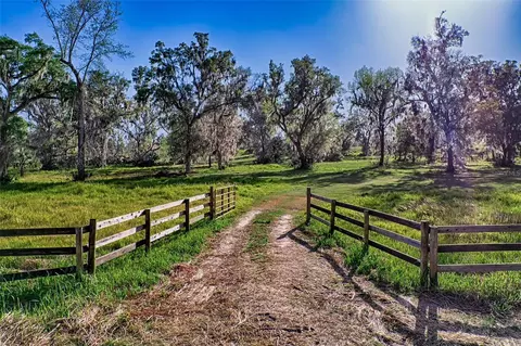 8604 NW 215th St, Micanopy, FL 32667
