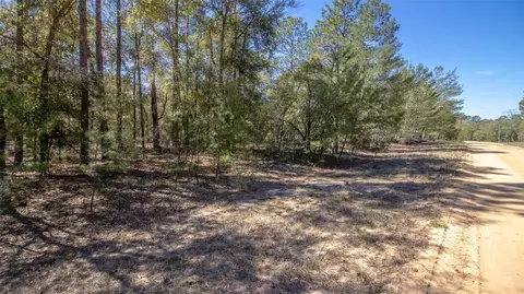 0 Dew Drop Dr, Hawthorne, FL 32640