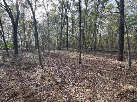 NW 72nd Court, Bell, FL 32619