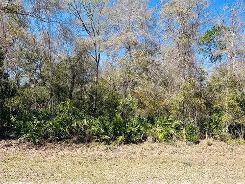 0 NW 48th Ter, Chiefland, FL 32626