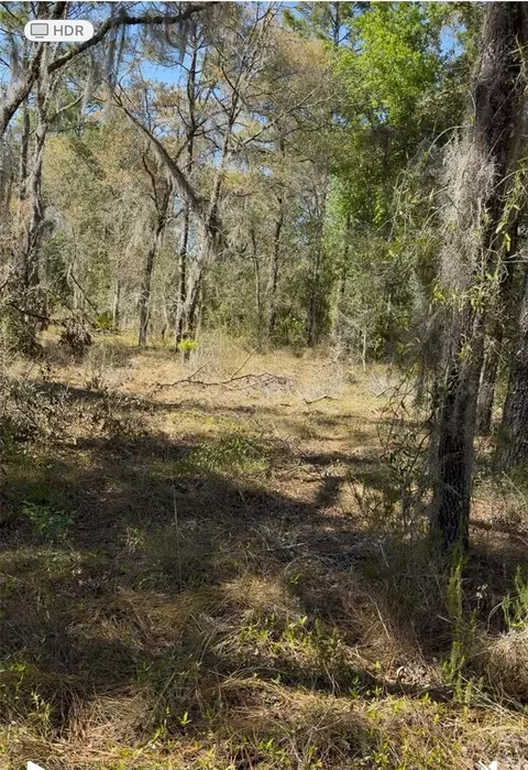 13921 SE 26th St, Morriston, FL 32668