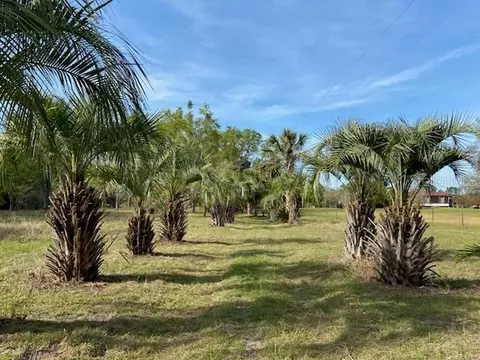23206 NW 102 Nd Ave, Alachua, FL 32615