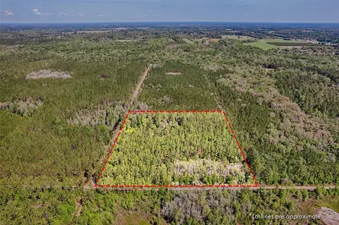NW 290th Avenue, Alachua, FL 32615