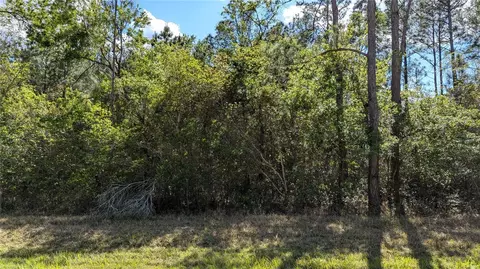 00 NE 108th Pl, Waldo, FL 32694