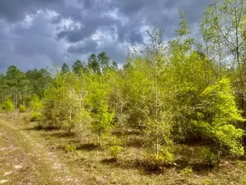 NE 998th Avenue, Branford, FL 32008