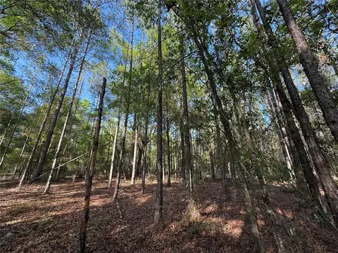 000 SW Old Lake City Ter, High Springs, FL 32643