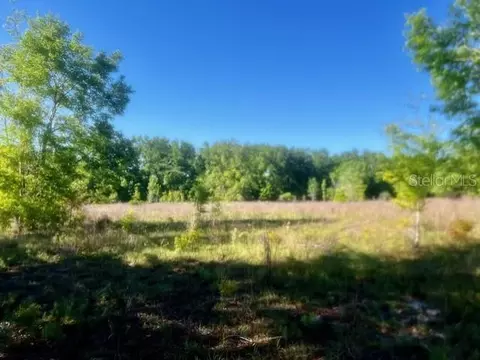 NW 98th Lane, Branford, FL 32008