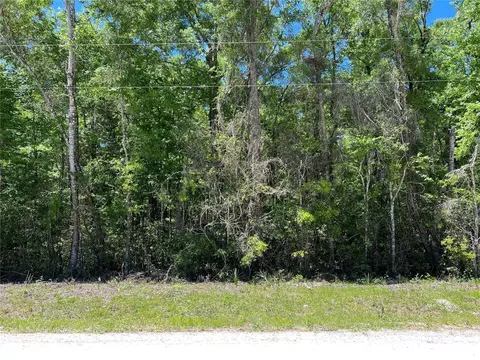 tbd NE 642nd St, Old Town, FL 32680