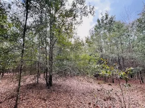NW 85th Street, Bell, FL 32619