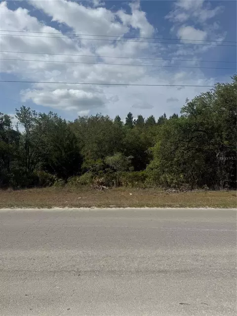 69 Th Ln, Bronson, FL 32621