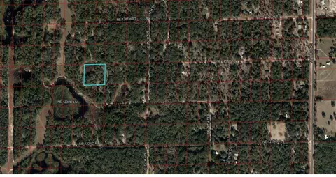 lot110 NE 111 Ne 125th St, Bronson, FL 32621