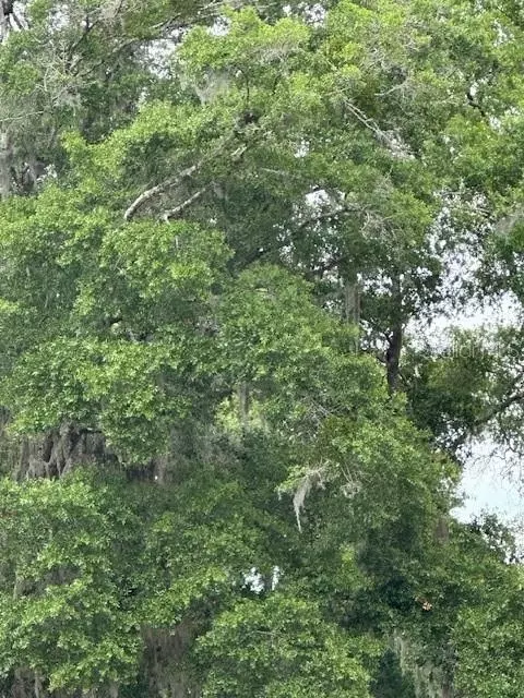 3406 SE 15th Ave, Gainesville, FL 32641