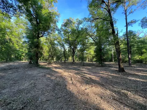 tbd NE 126th St #B, Bronson, FL 32621