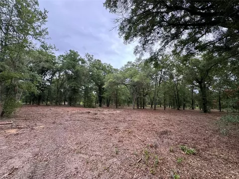 tbd NE 126th St #A, Bronson, FL 32621