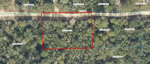 tbd NE 236 St, Fort Mc Coy, FL 32134