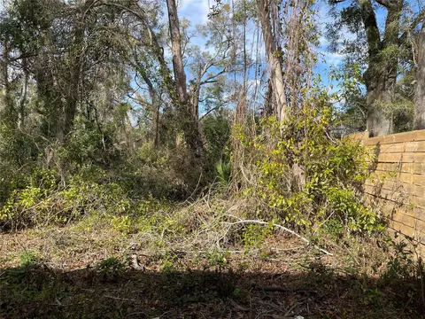 lot1 NW 135th Ter, Alachua, FL 32615