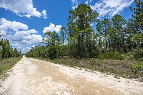 NE 150th Court, Williston, FL 32696