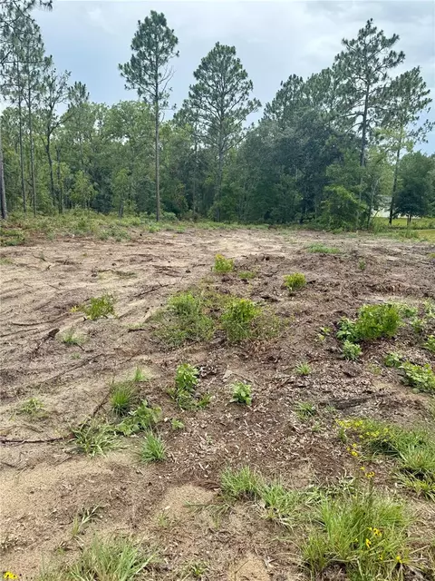 tbd NE 151st Ter, Williston, FL 32696