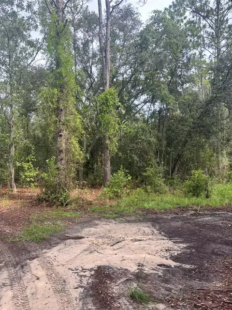 72 Nd Pl NE, Bronson, FL 32621
