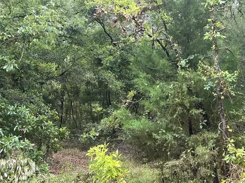 NE 70th Avenue, High Springs, FL 32643
