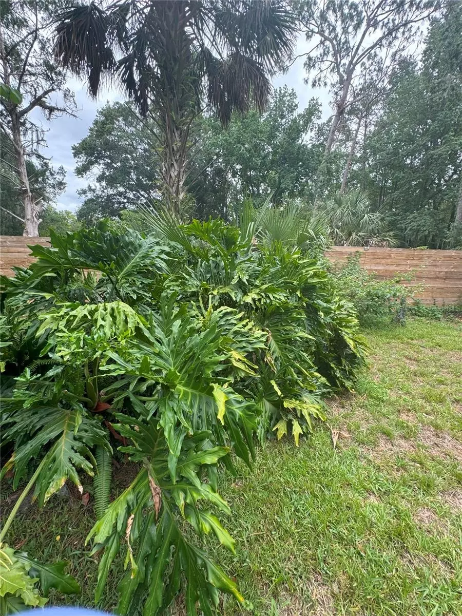 1215 NE 21st Ave Gainesville - GC532399 0 Z7FrJ7 R.webp