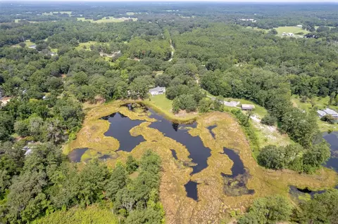 View/Area - 8465 NW 186th St, Reddick, FL 32686 photo 2 of 3