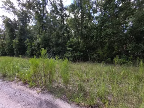280 Terrace Ter, Branford, FL 32008