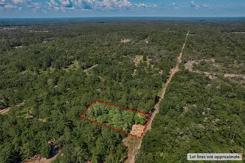 000 NE 83rd Ln, Bronson, FL 32621