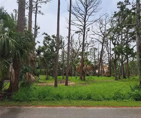 401 W 1st St NW #LOT 4, Steinhatchee, FL 32359