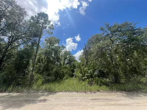 lot11 NW 11th Ave, Bell, FL 32619
