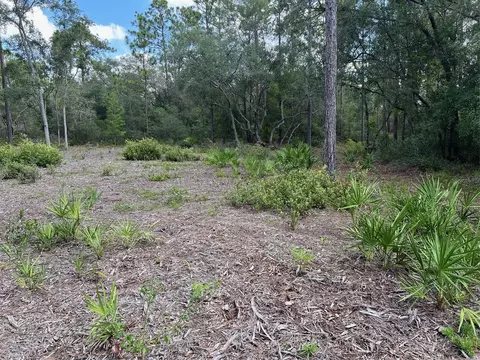 5578 Lassen St, Keystone Heights, FL 32656