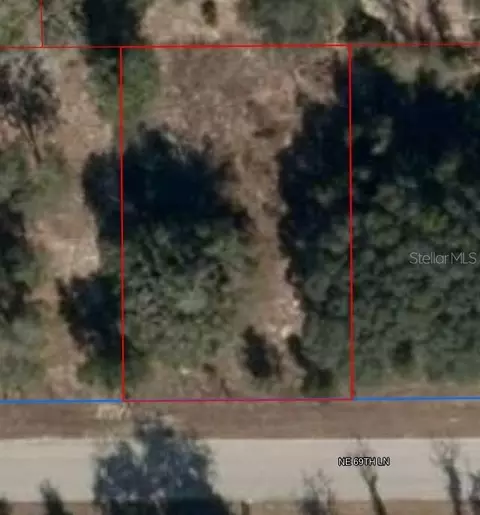 11465 NE 69th Ln, Williston, FL 32696