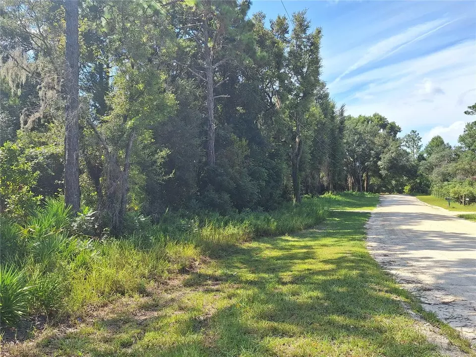  000 NW 105th Ct, Chiefland, FL 32626 photo 6