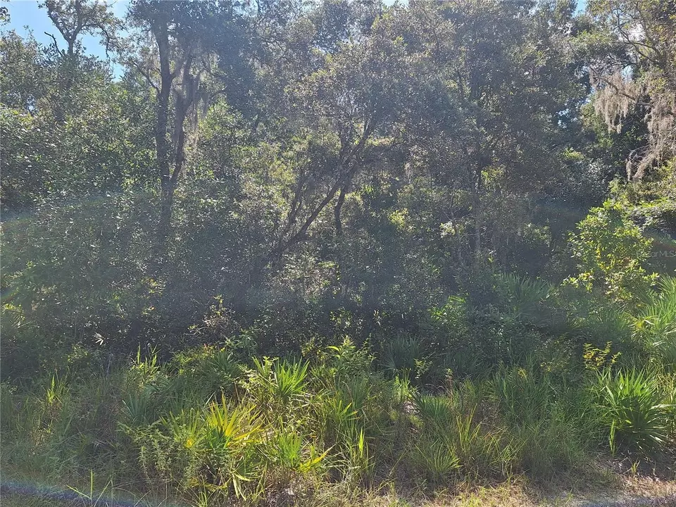  000 NW 105th Ct, Chiefland, FL 32626 photo 5