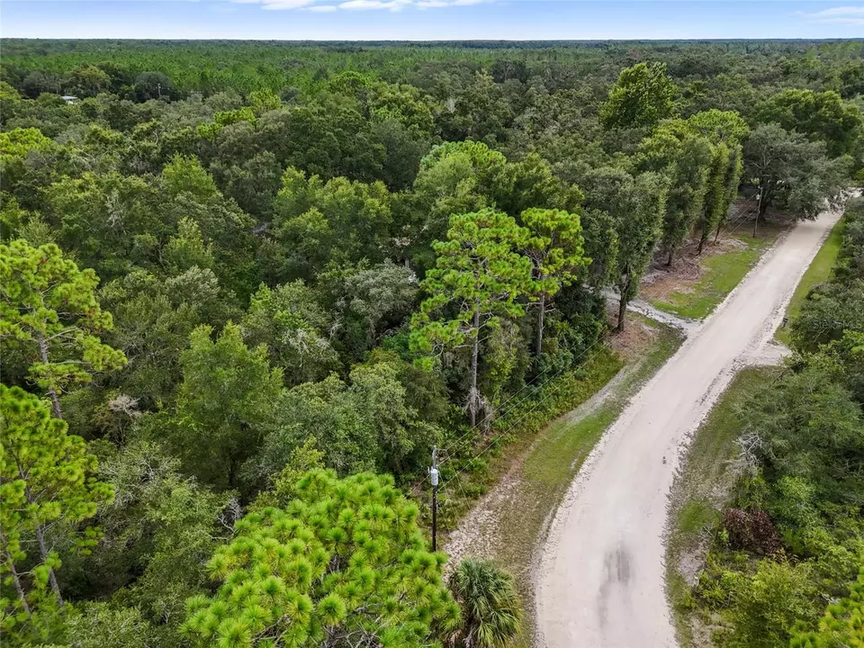  000 NW 105th Ct, Chiefland, FL 32626 photo 3