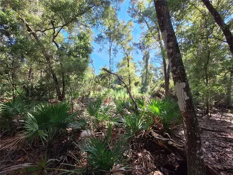 tbd NW 00 Nw 47th St, Chiefland, FL 32626