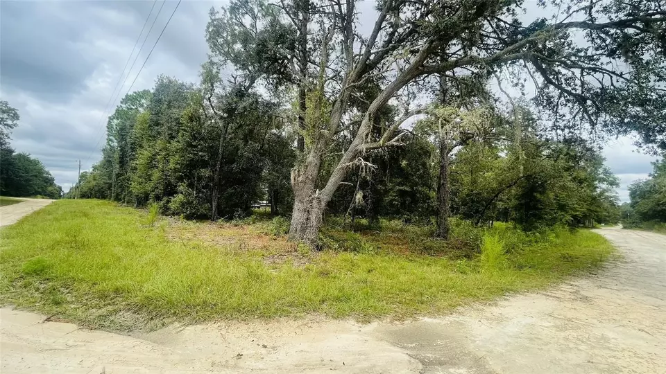  lot40 NE 102nd Ct, Bronson, FL 32621 photo 6