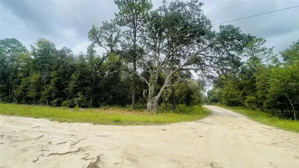  lot40 NE 102nd Ct, Bronson, FL 32621 photo 5