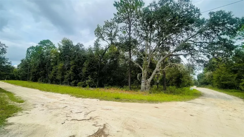  lot40 NE 102nd Ct, Bronson, FL 32621 photo 4
