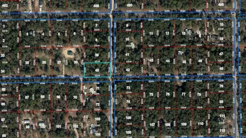 lot40 NE 102nd Ct, Bronson, FL 32621