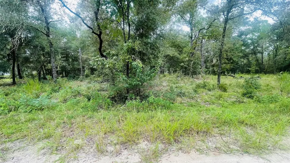  lot40 NE 102nd Ct, Bronson, FL 32621 photo 2