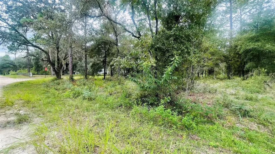  lot40 NE 102nd Ct, Bronson, FL 32621 photo 3