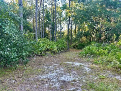 000000 SE 225th St, Hawthorne, FL 32640